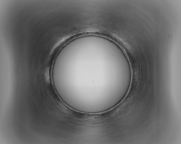 X0000112951262200909141400