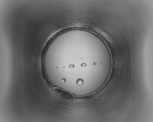 X0000112951264200909141400