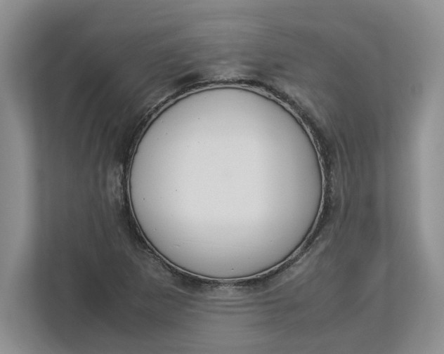 X0000112951265200909141400