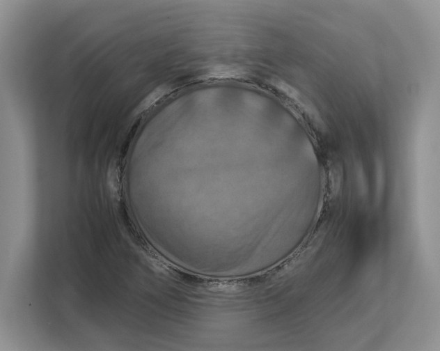 X0000112951266200909141400