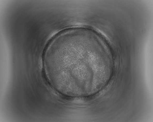 X0000112951267200909141400