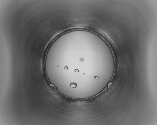 X0000112951268200909141400