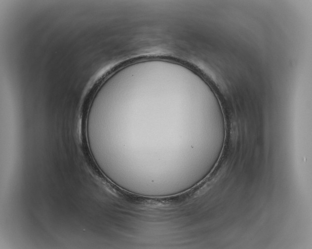 X0000112951270200909141400