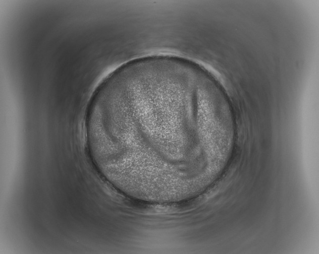 X0000112951271200909141400