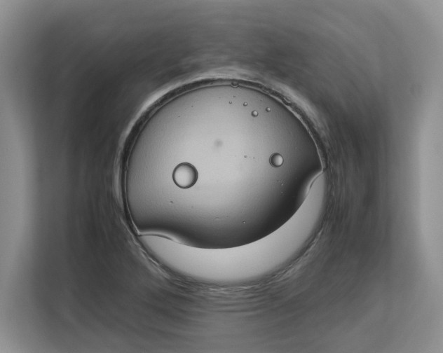 X0000112951272200909141400