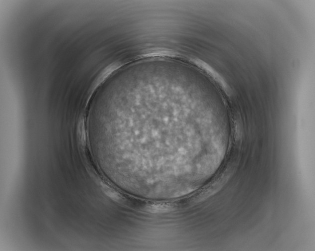 X0000112951274200909141400