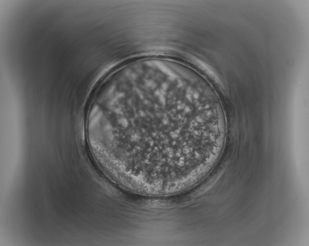 X0000112951275200909141400