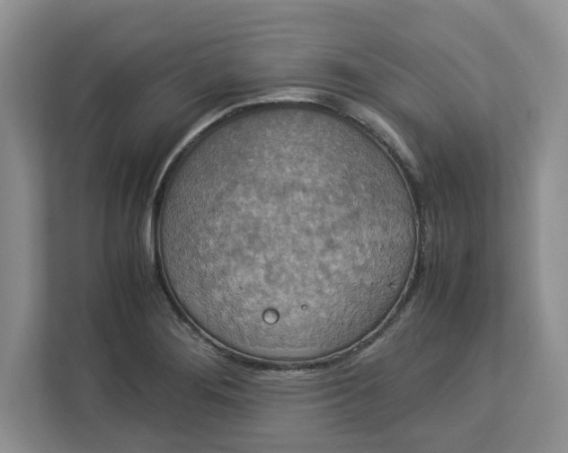 X0000112951276200909141400