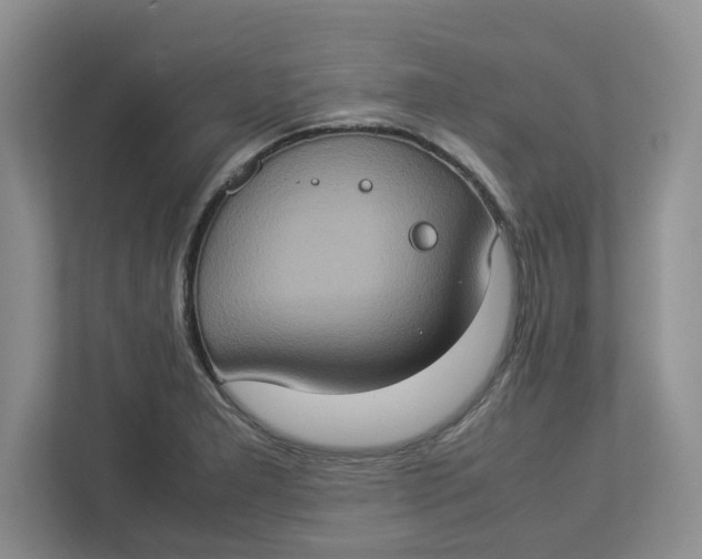 X0000112951277200909141400