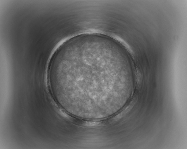 X0000112951278200909141400