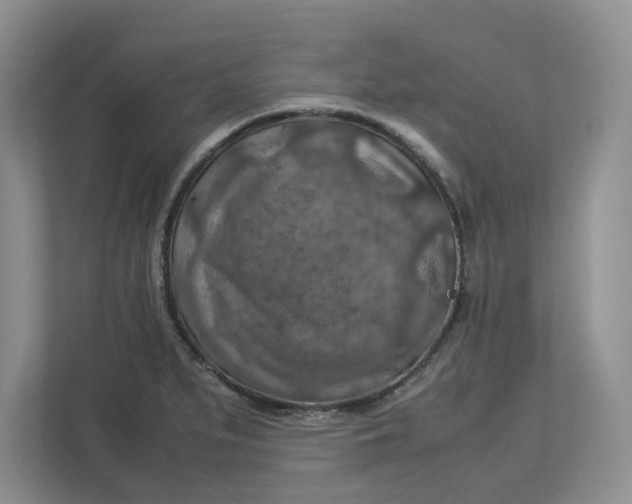 X0000112951279200909141400