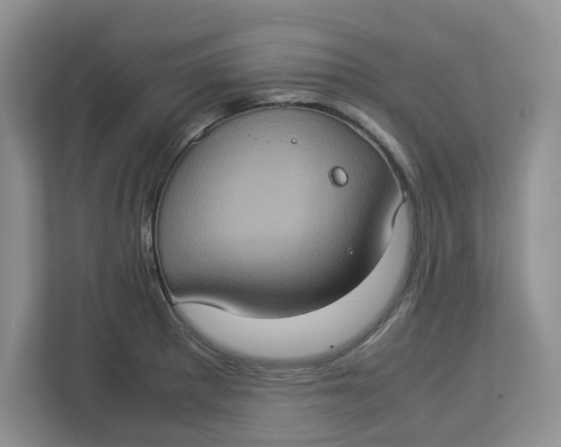 X0000112951281200909141400