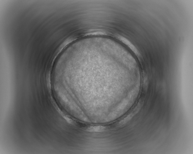 X0000112951282200909141400