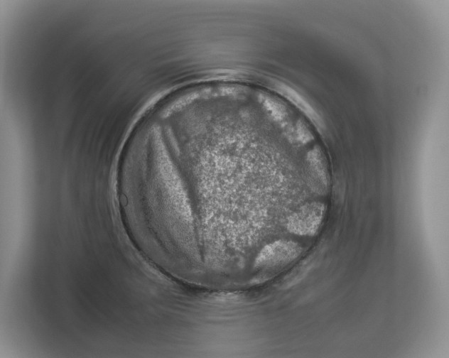 X0000112951283200909141400