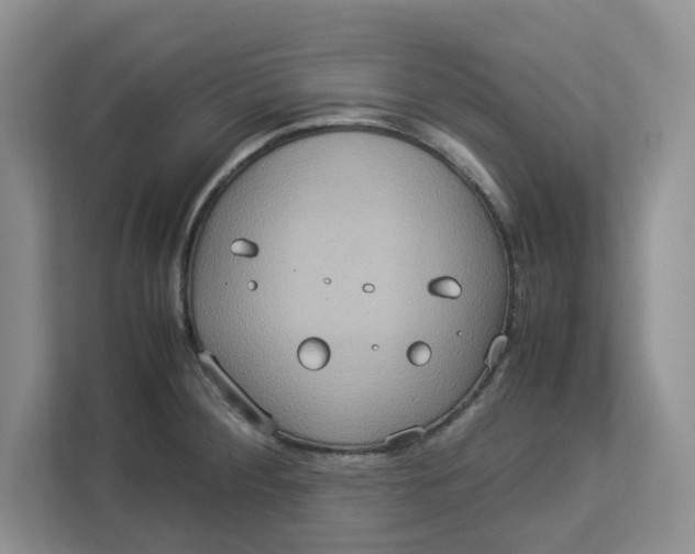 X0000112951284200909141400