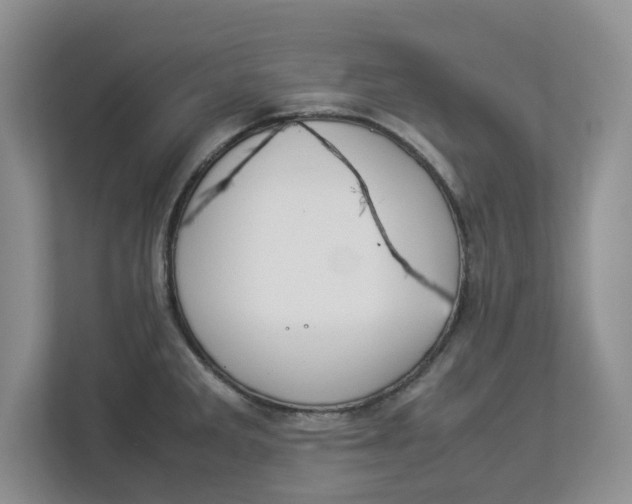 X0000112951285200909141400