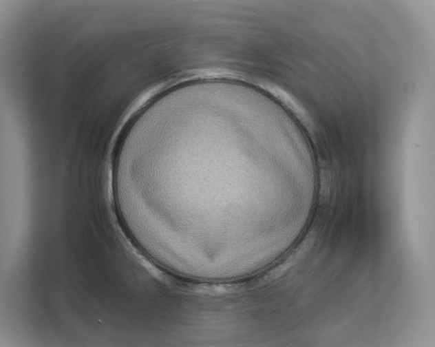 X0000112951286200909141400