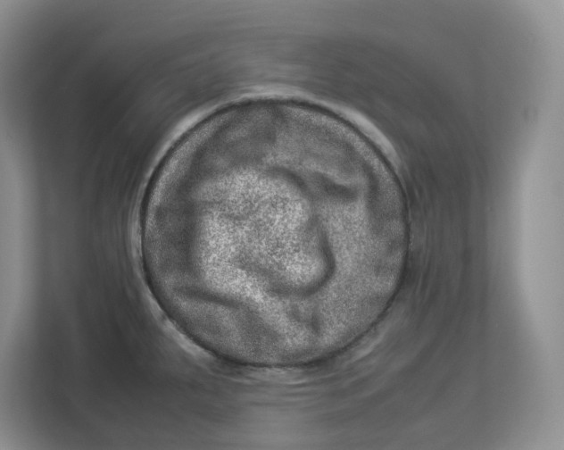 X0000112951287200909141400