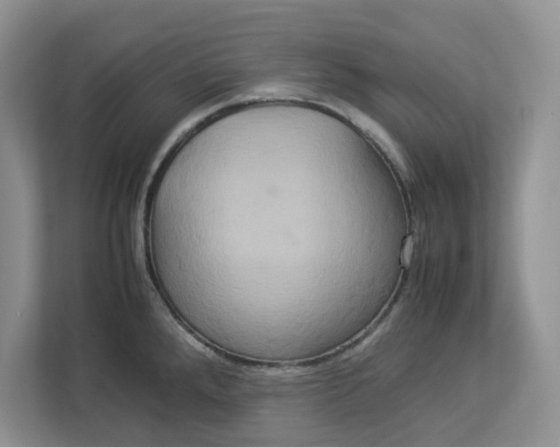 X0000112951288200909141400