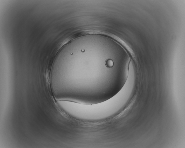 X0000112951289200909141400