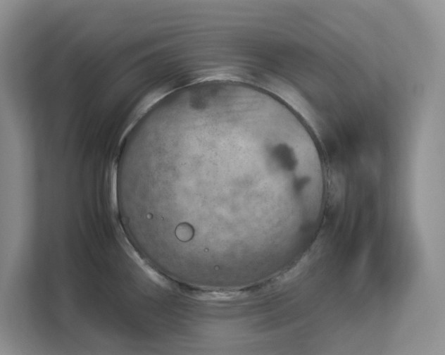 X0000112951290200909141400