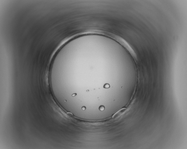 X0000112951292200909141400