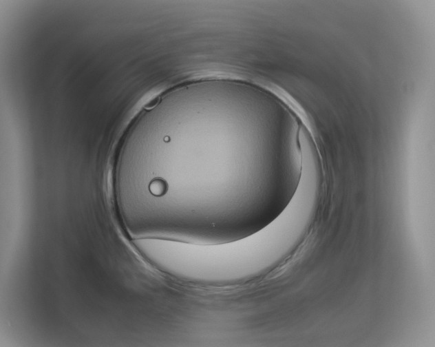 X0000112951293200909141400