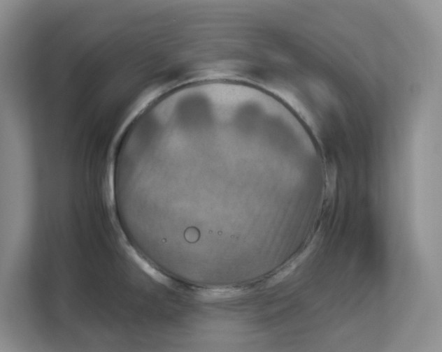 X0000112951294200909141400