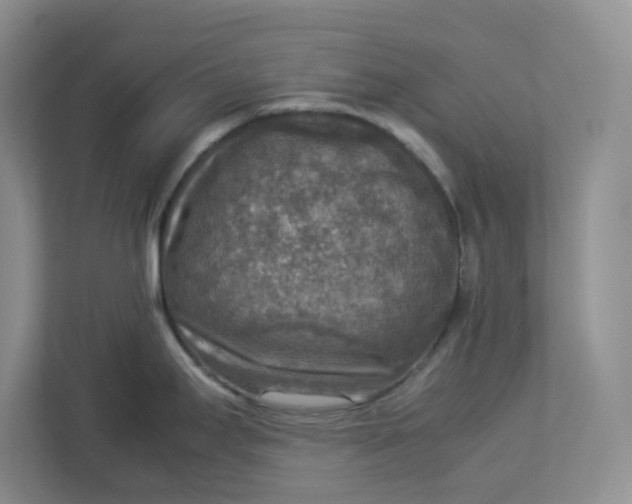 X0000112951295200909141400