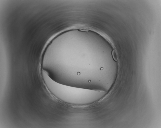 X0000112951296200909141359