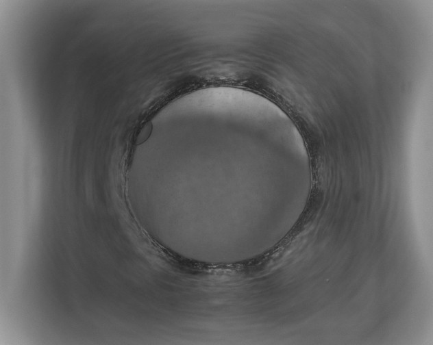 X0000112951297200909141359