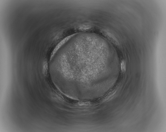 X0000112951299200909141359