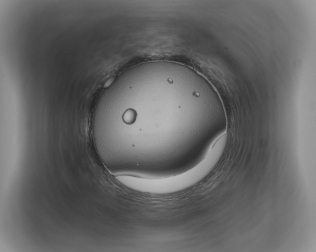 X0000112951300200909141359