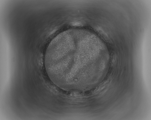 X0000112951301200909141359