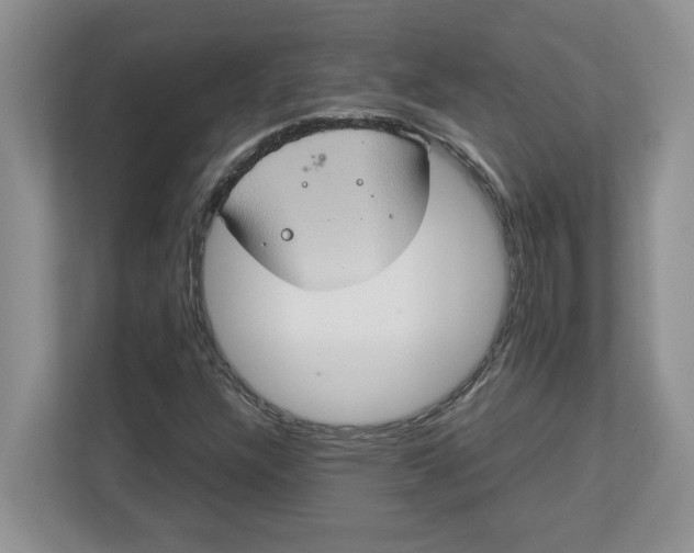 X0000112951304200909141359