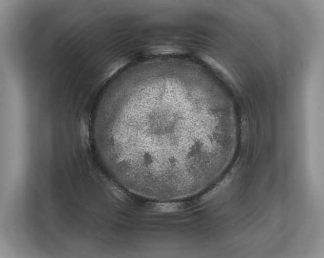 X0000112951305200909141359