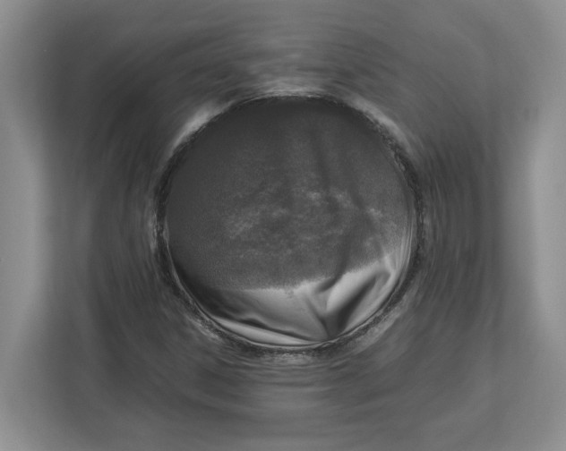 X0000112951306200909141359