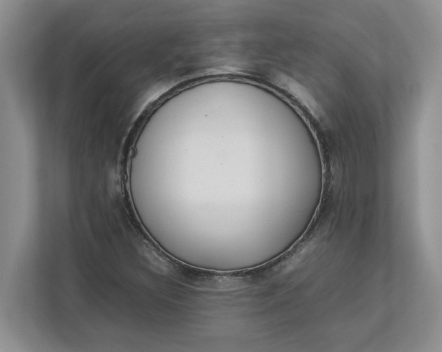 X0000112951308200909141359