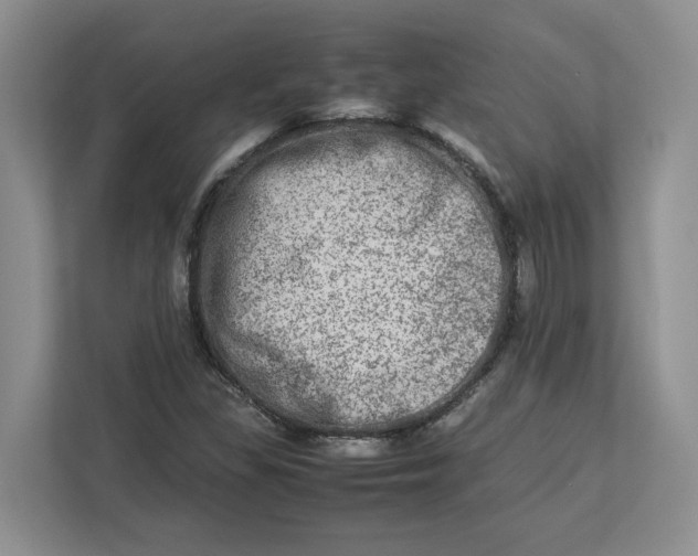 X0000112951309200909141359