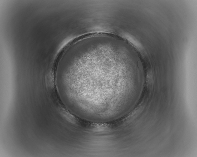 X0000112951310200909141359