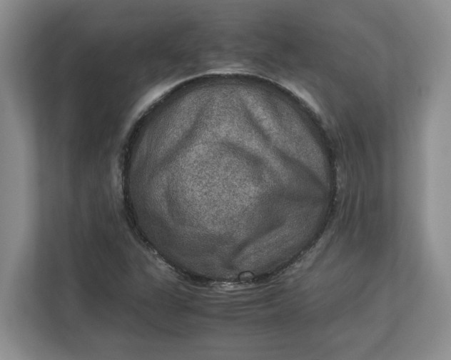 X0000112951311200909141359