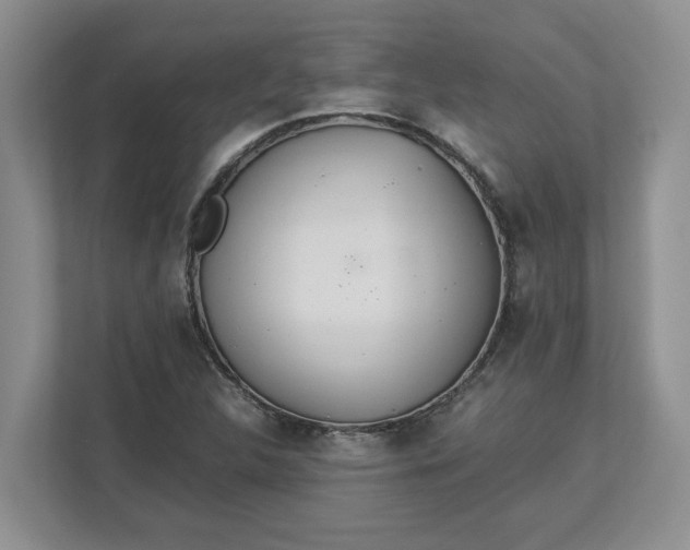 X0000112951312200909141359