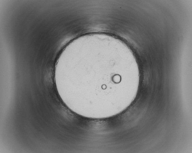 X0000112951314200909141359