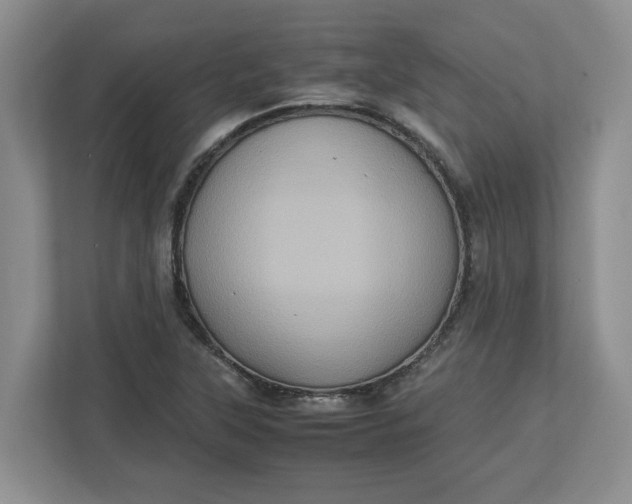 X0000112951315200909141359