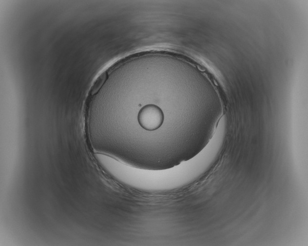 X0000112951316200909141359