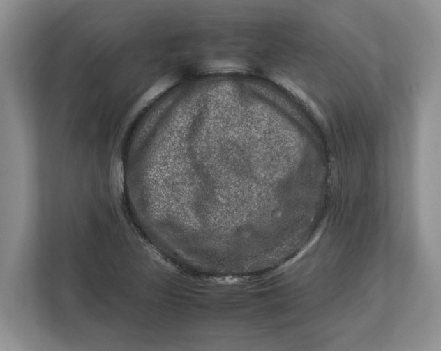 X0000112951317200909141359