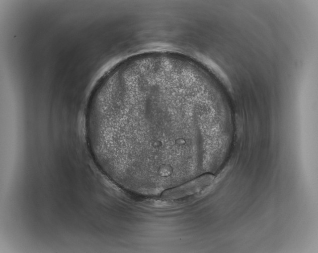 X0000112951318200909141359