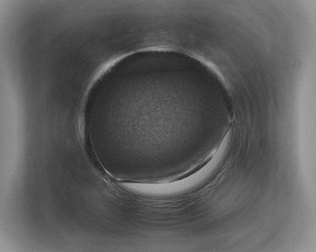 X0000112951319200909141359