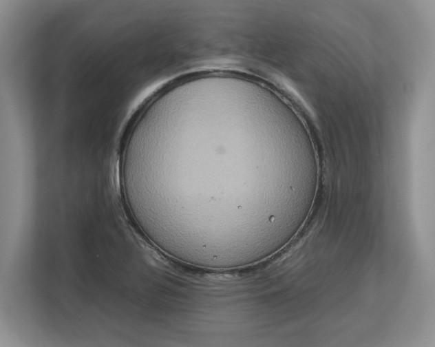 X0000112951320200909141359