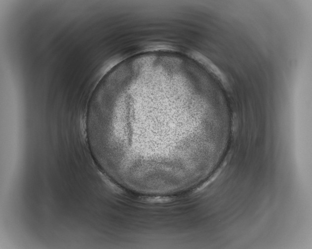 X0000112951321200909141359